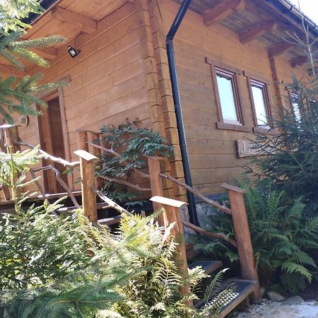 Apartament Nad Potokiem فيسلا المظهر الخارجي الصورة