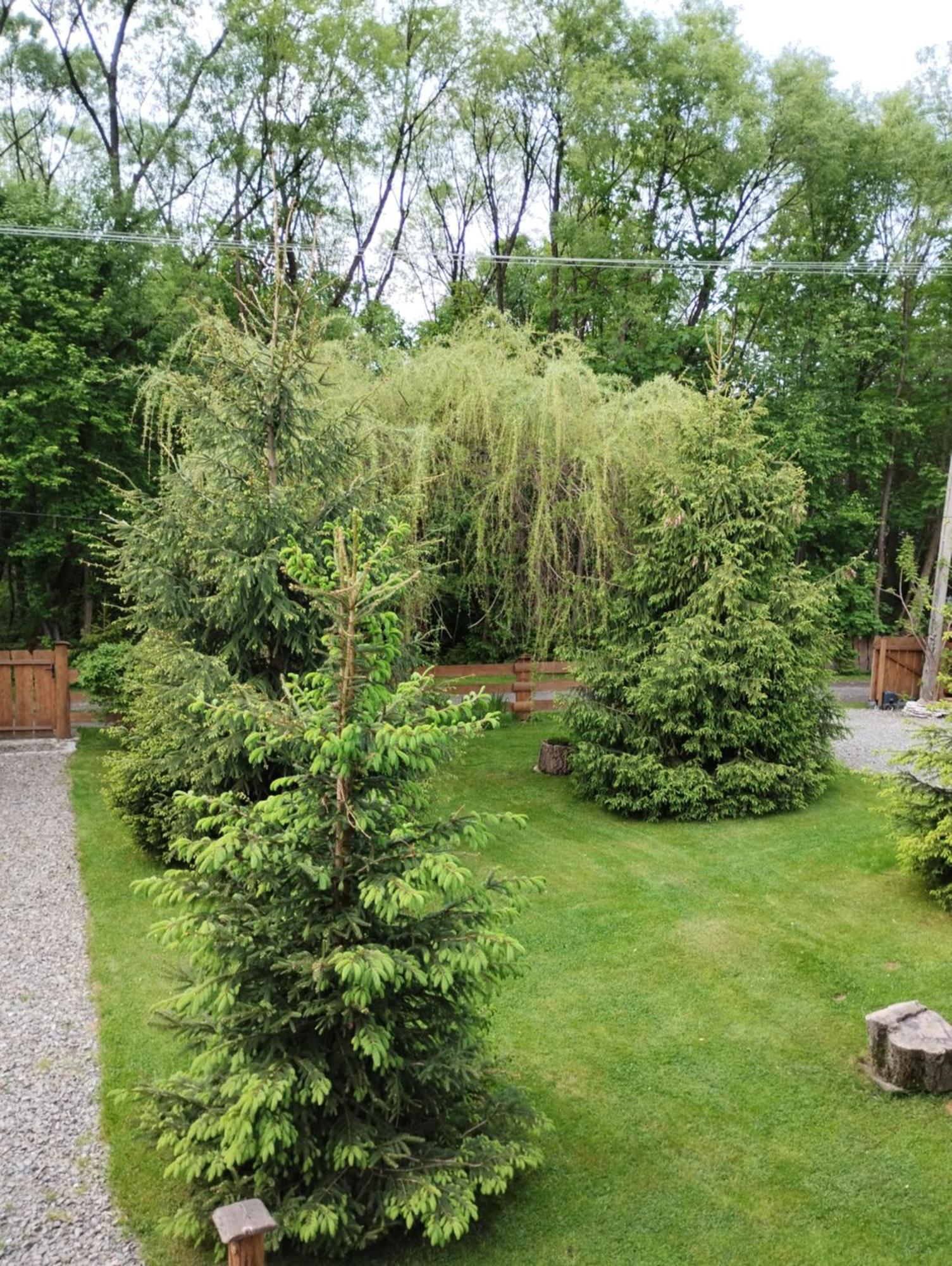 Apartament Nad Potokiem فيسلا المظهر الخارجي الصورة